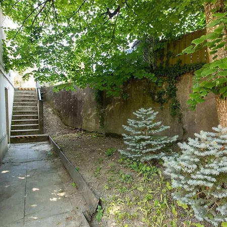 Apartamento L'escale Vitteloise Vittel